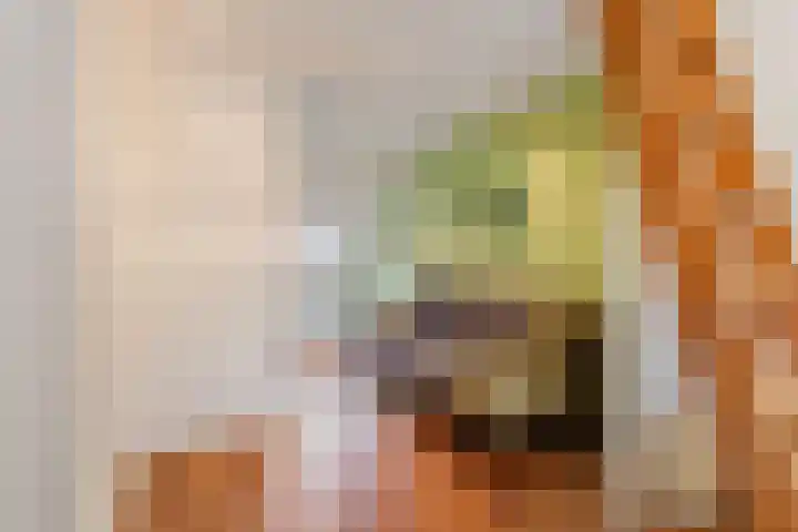 Beukstraat 25 Utrecht thumbnail 25