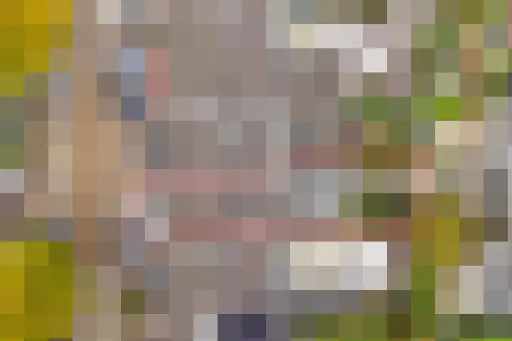 Beukstraat 25 Utrecht thumbnail 33