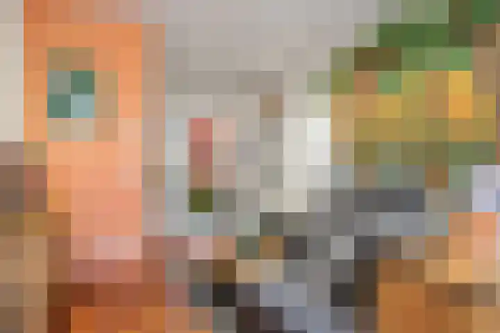 Beukstraat 25 Utrecht thumbnail 7