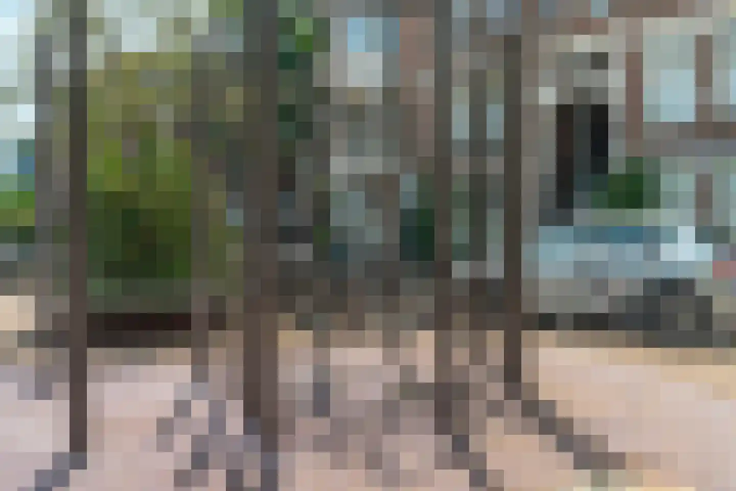 Beukstraat 27 C Den Haag thumbnail 56