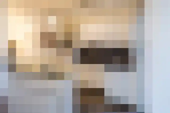 Beukstraat 36 Breda thumbnail 10