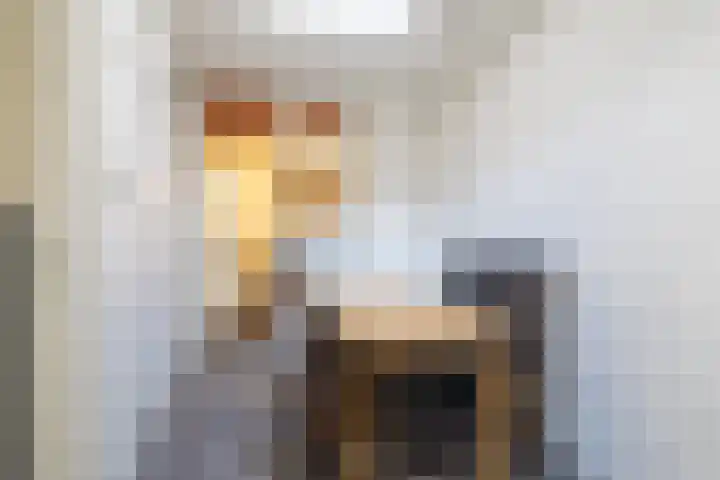 Beukstraat 36 Breda thumbnail 4