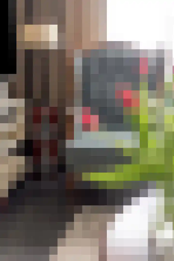 Beukstraat 4 Echt thumbnail 10