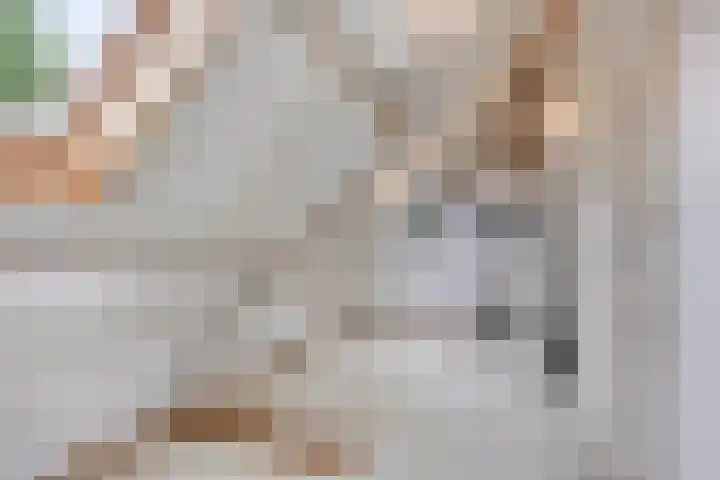 Beukstraat 4 Echt thumbnail 19