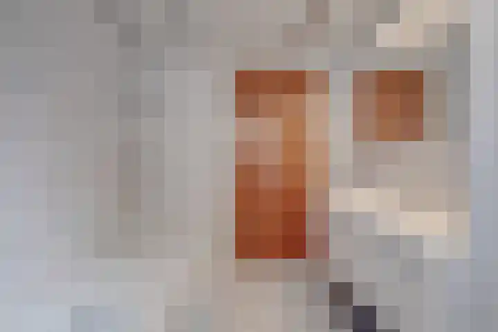 Beukstraat 4 Echt thumbnail 25