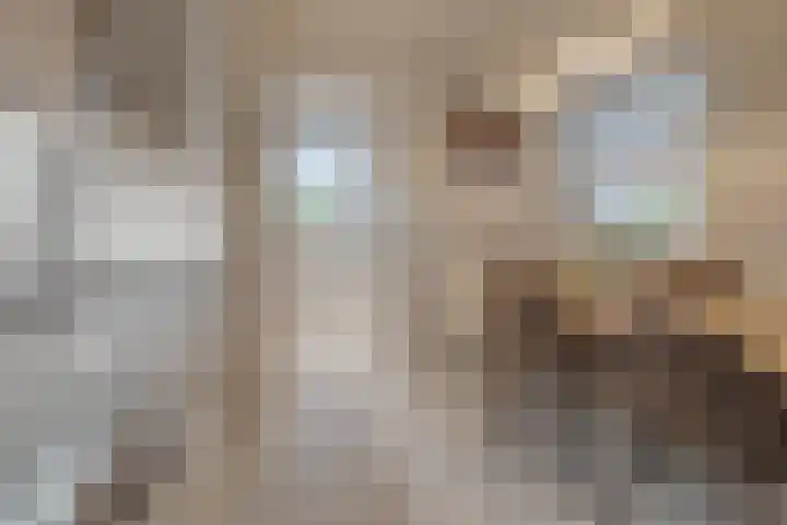 Beukstraat 4 Echt thumbnail 29