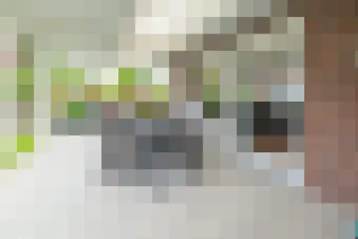 Beukstraat 4 Echt thumbnail 33