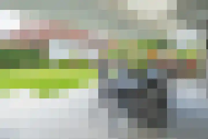 Beukstraat 4 Echt thumbnail 35