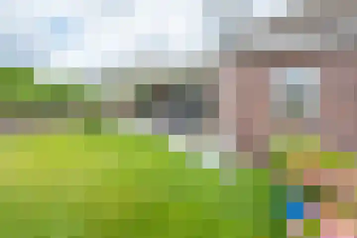 Beukstraat 4 Echt thumbnail 37