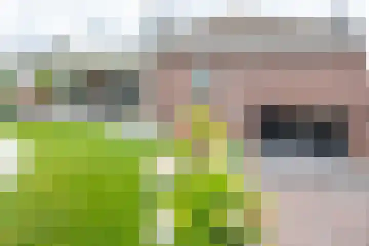 Beukstraat 4 Echt thumbnail 38