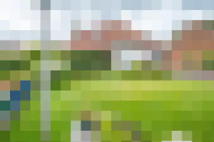 Beukstraat 4 Echt thumbnail 39
