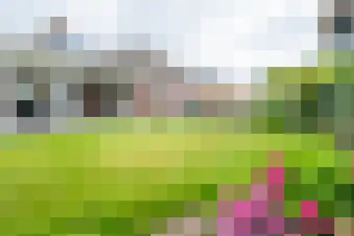 Beukstraat 4 Echt thumbnail 4