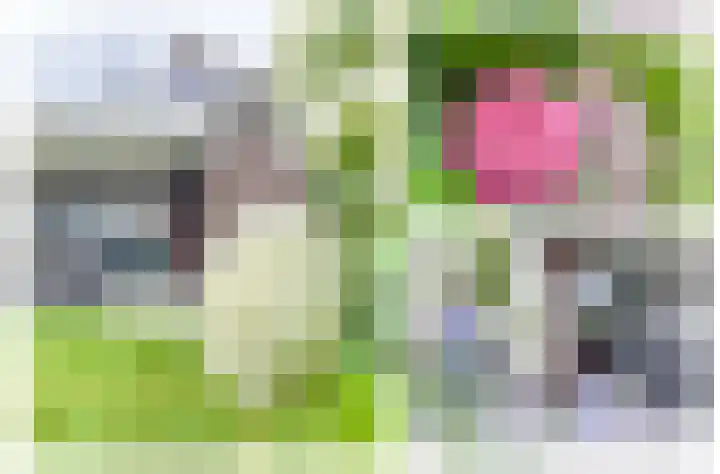 Beukstraat 4 Echt thumbnail 40