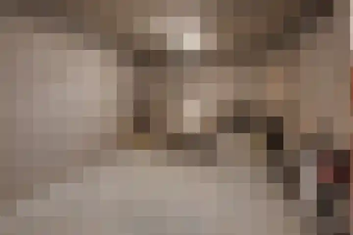 Beukstraat 4 Echt thumbnail 46