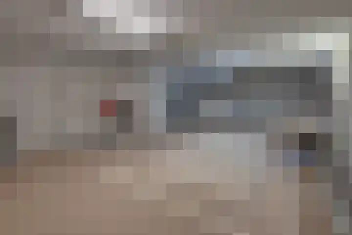 Beukstraat 4 Echt thumbnail 48