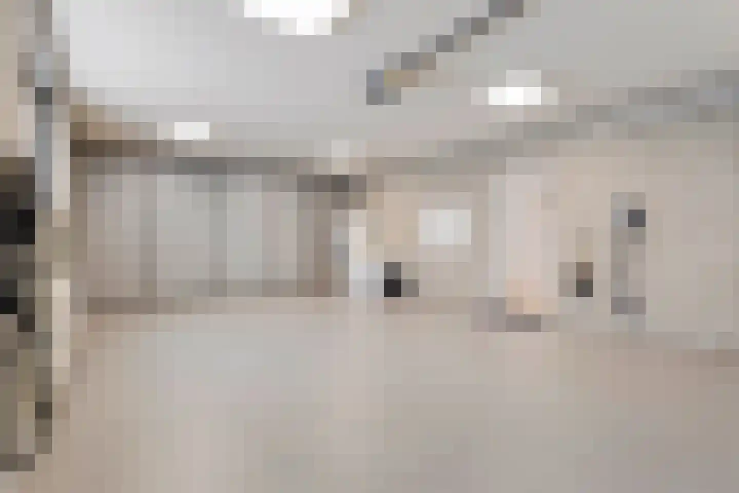 Beukstraat 45 Elsloo thumbnail 100