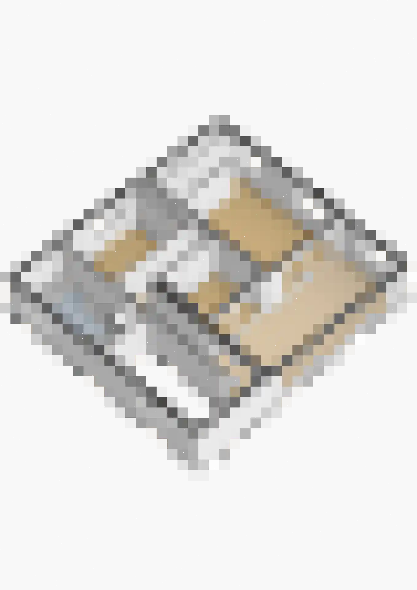 Beukstraat 45 Elsloo thumbnail 106