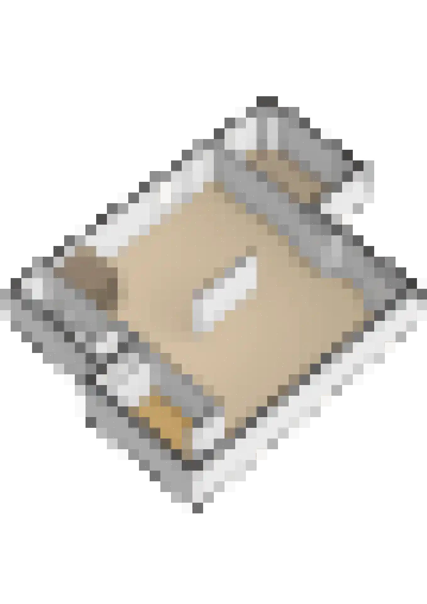 Beukstraat 45 Elsloo thumbnail 109