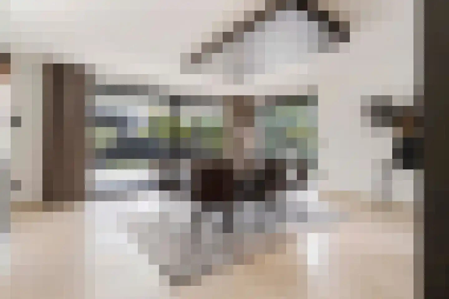 Beukstraat 45 Elsloo thumbnail 15