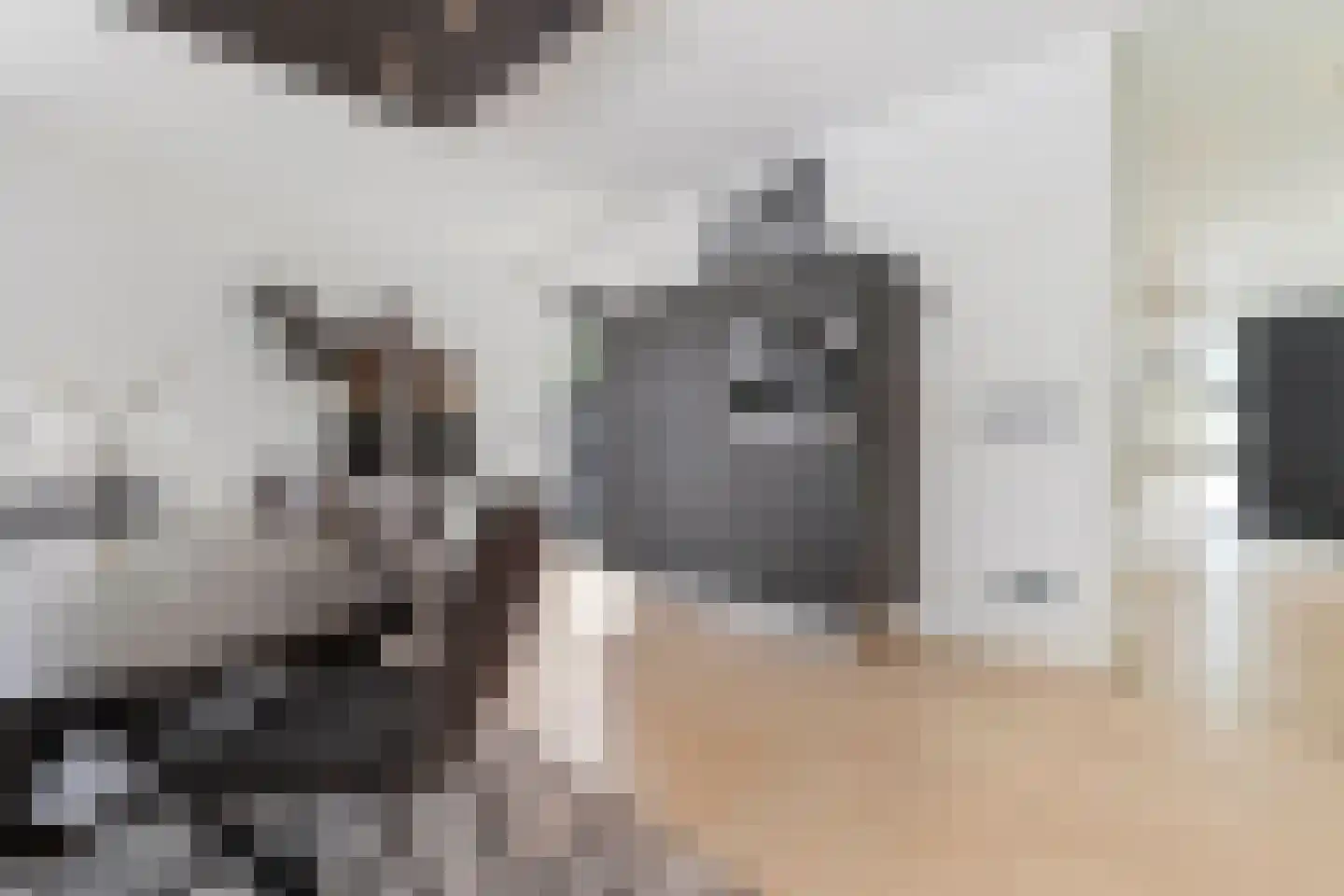 Beukstraat 45 Elsloo thumbnail 16