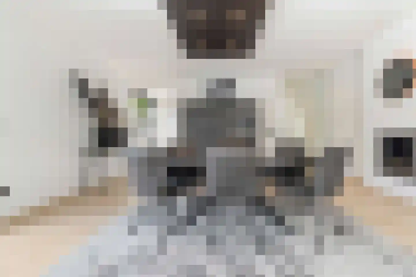 Beukstraat 45 Elsloo thumbnail 17