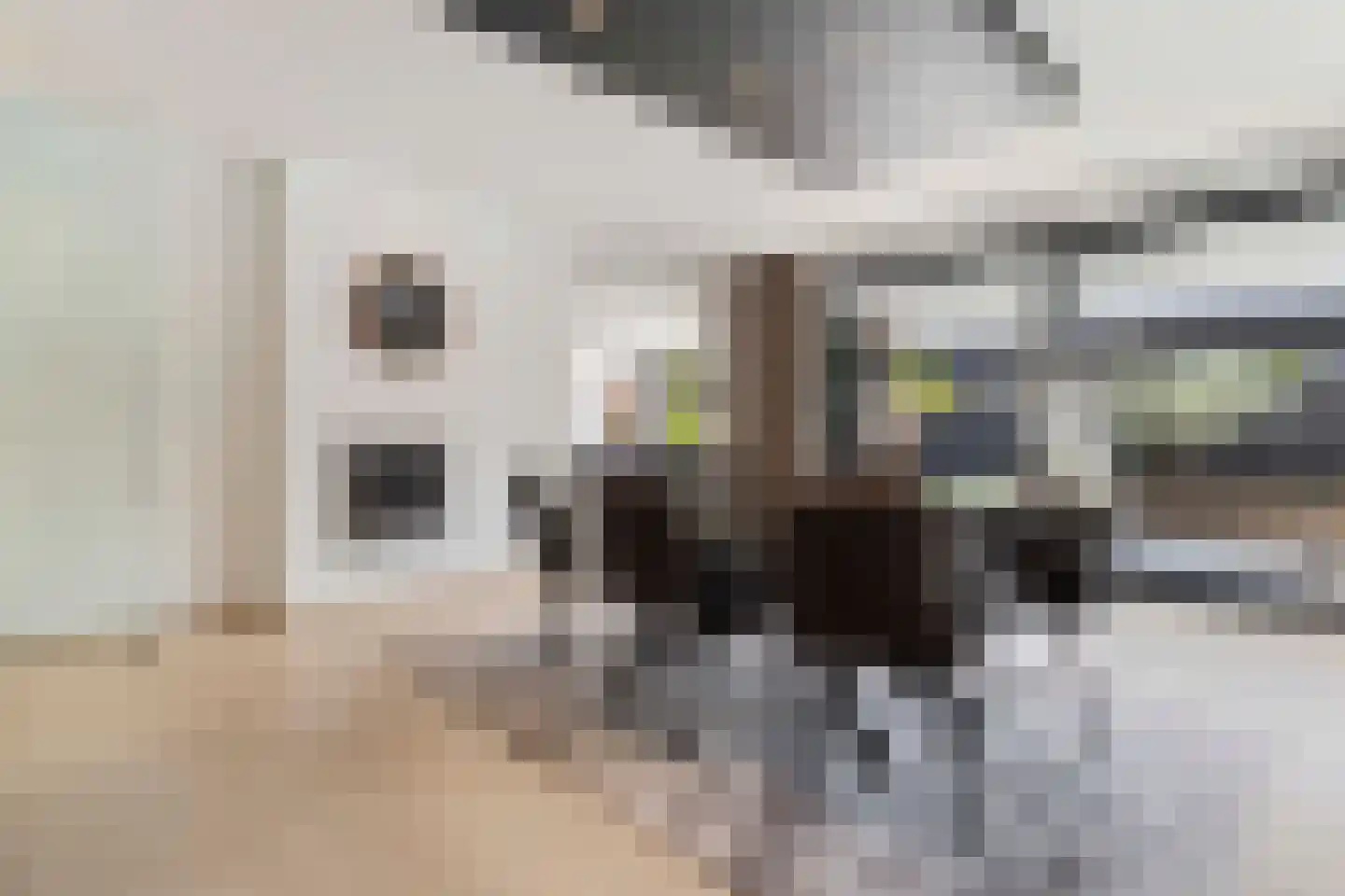 Beukstraat 45 Elsloo thumbnail 19