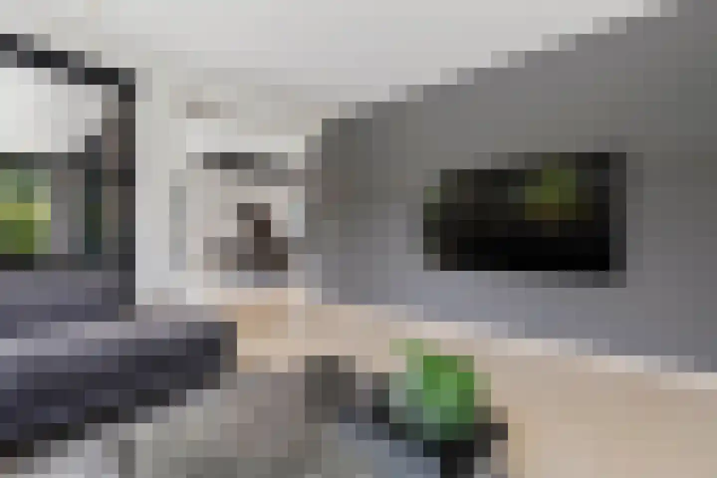 Beukstraat 45 Elsloo thumbnail 21