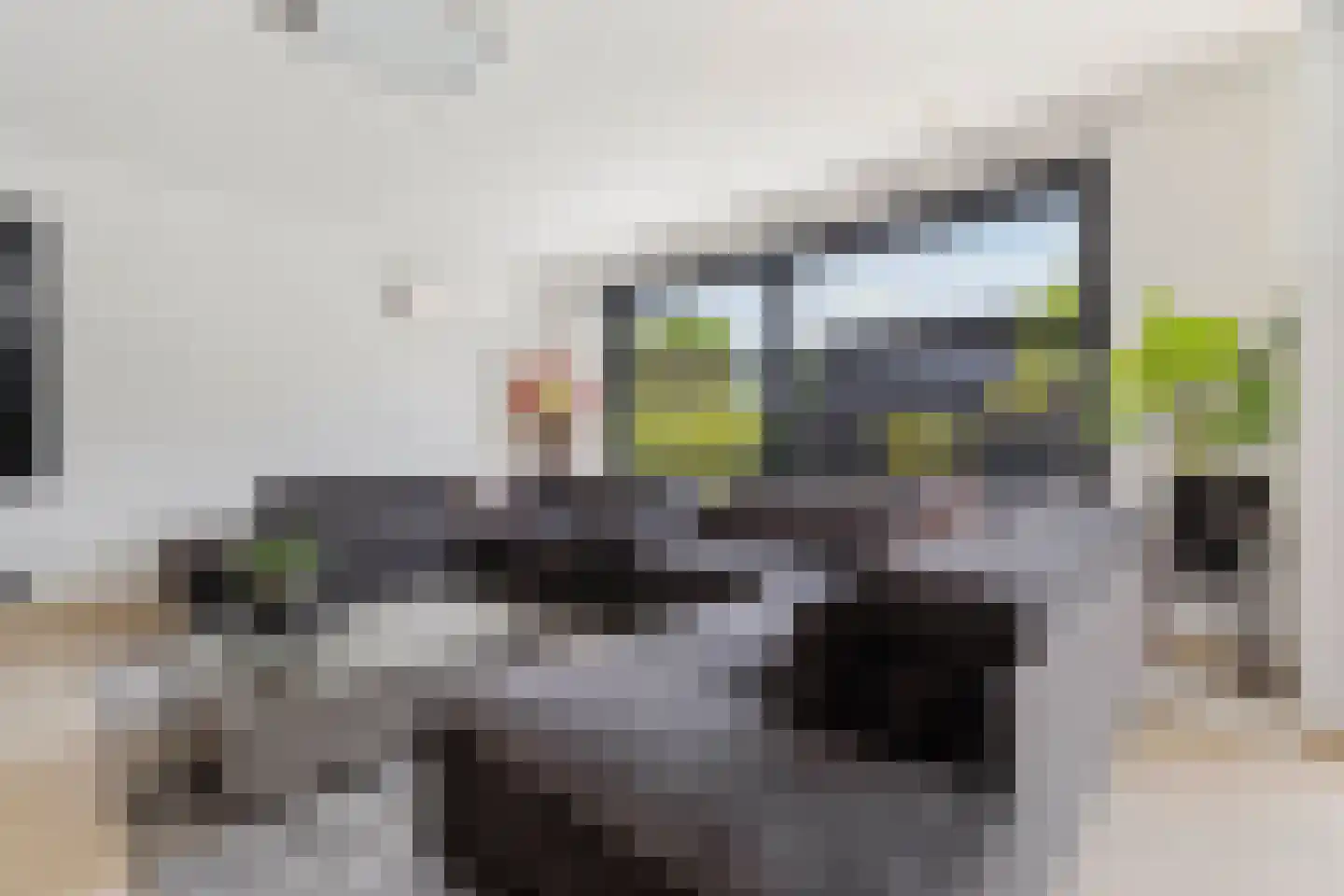 Beukstraat 45 Elsloo thumbnail 23