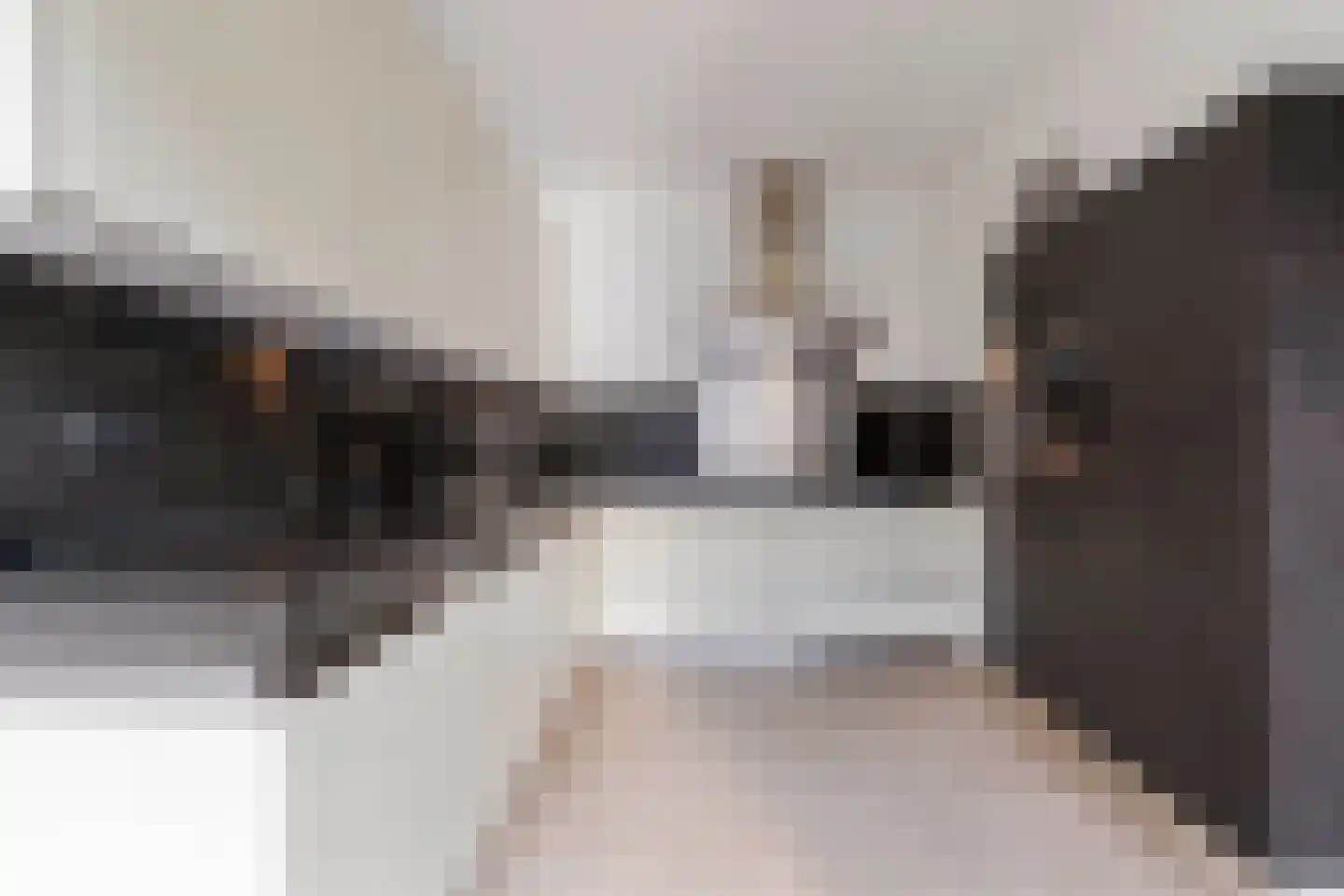 Beukstraat 45 Elsloo thumbnail 27