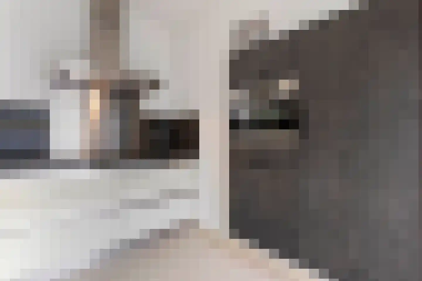 Beukstraat 45 Elsloo thumbnail 29
