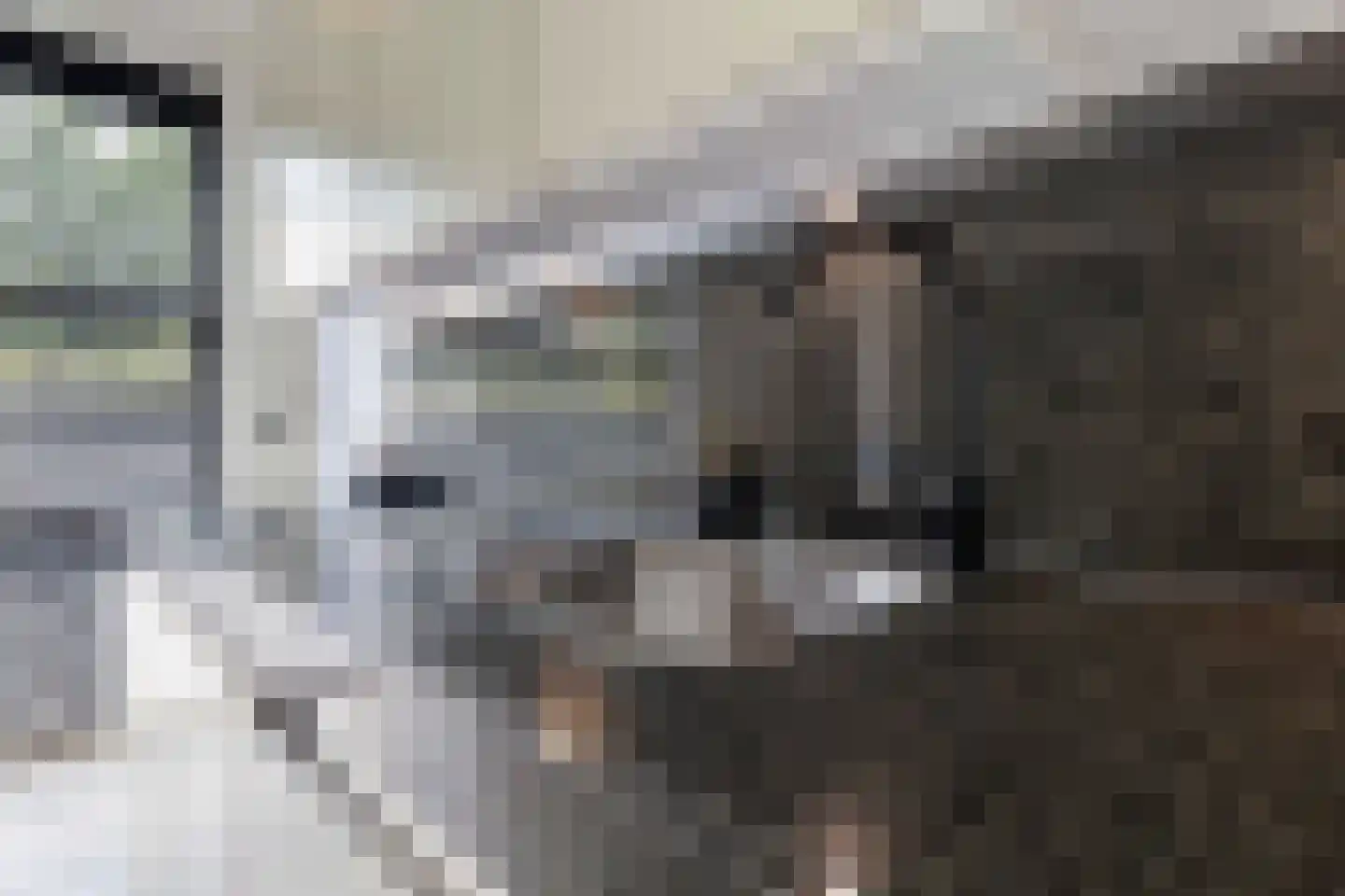 Beukstraat 45 Elsloo thumbnail 30