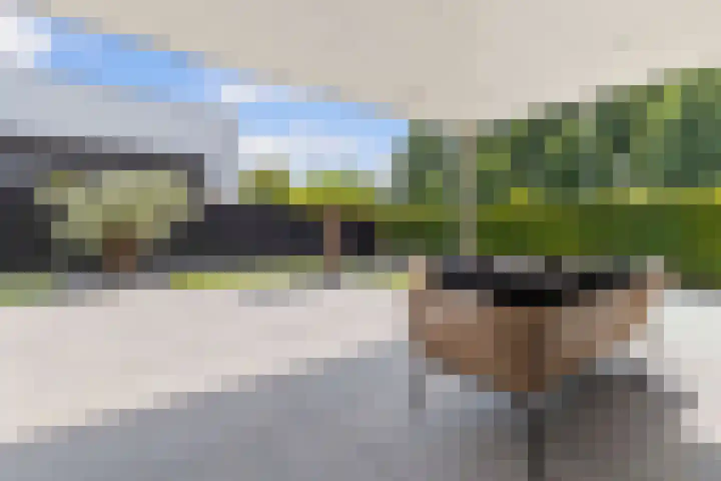 Beukstraat 45 Elsloo thumbnail 35