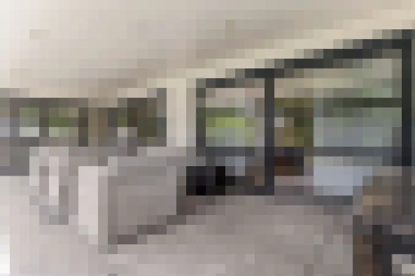 Beukstraat 45 Elsloo thumbnail 49
