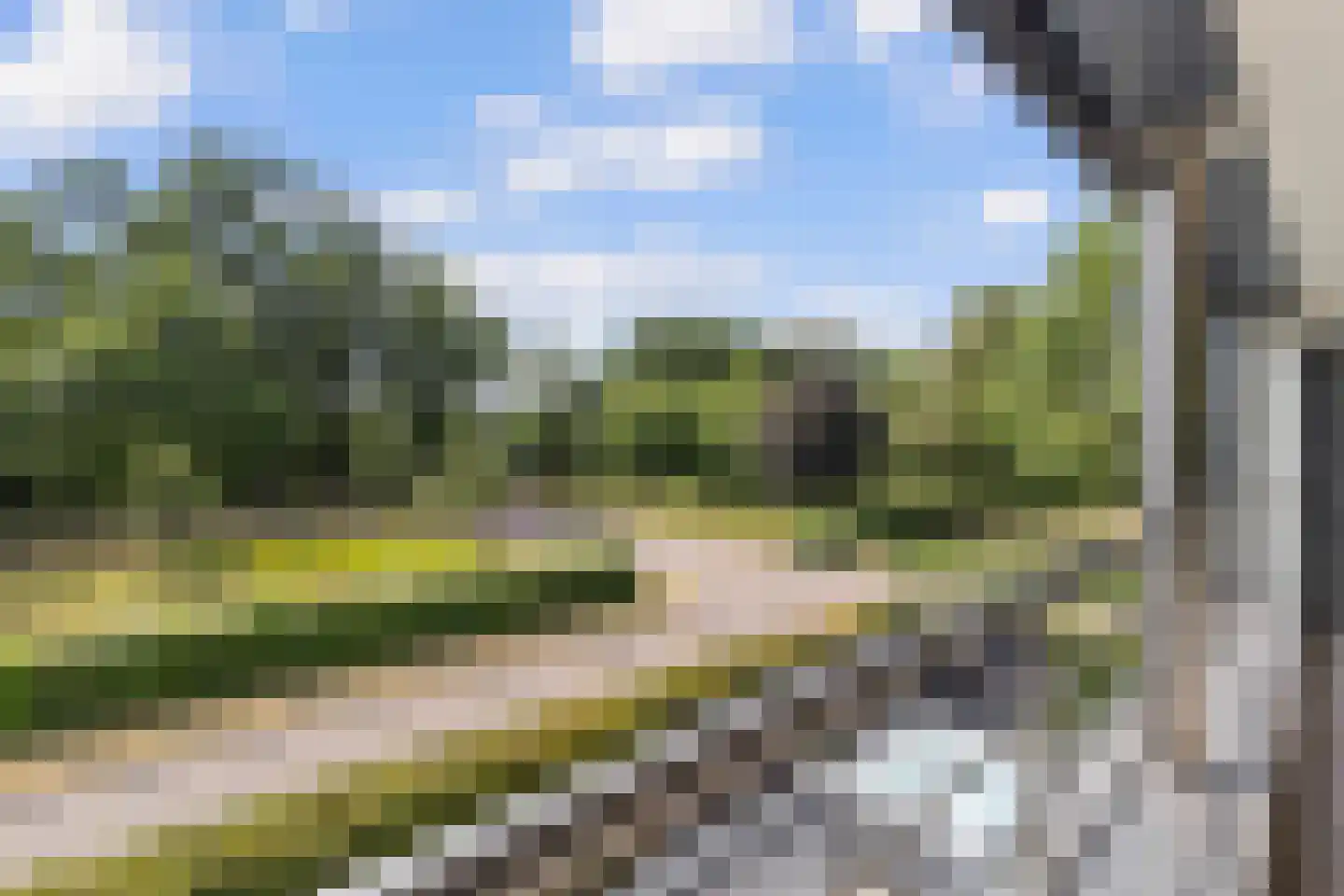 Beukstraat 45 Elsloo thumbnail 51