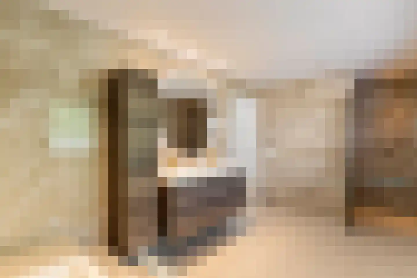Beukstraat 45 Elsloo thumbnail 54