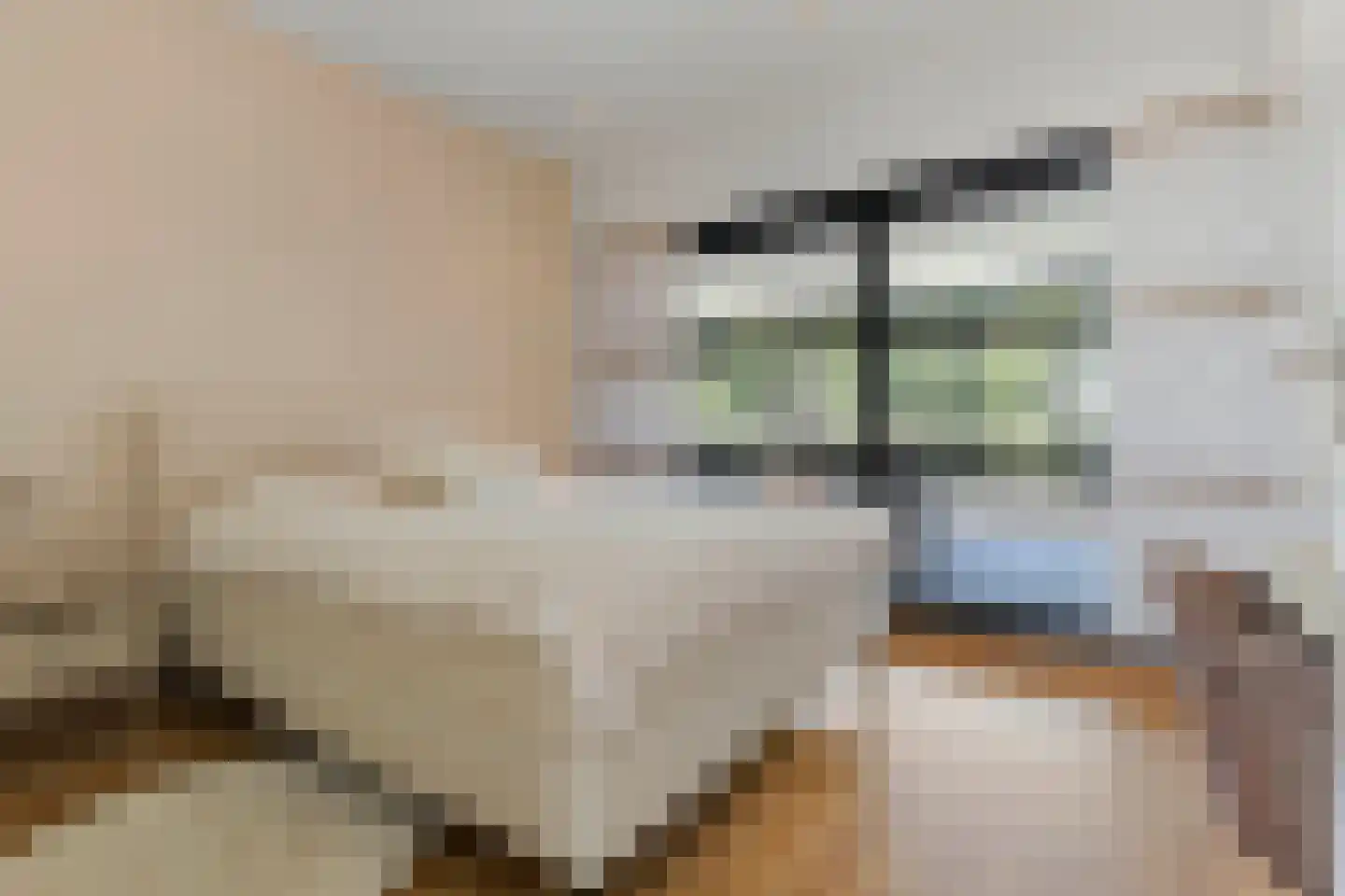 Beukstraat 45 Elsloo thumbnail 56