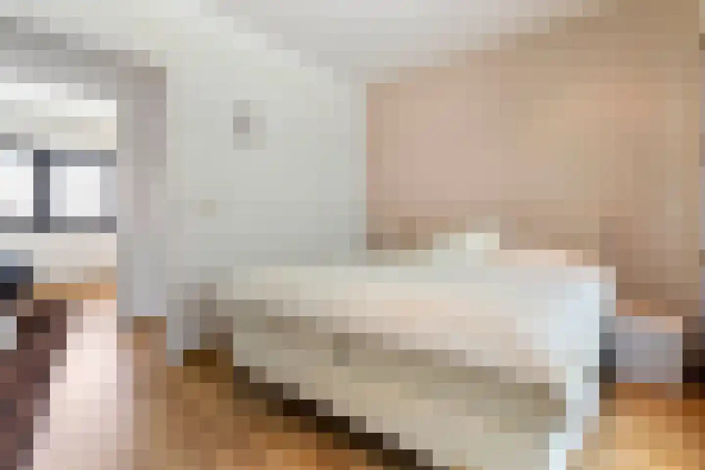 Beukstraat 45 Elsloo thumbnail 57