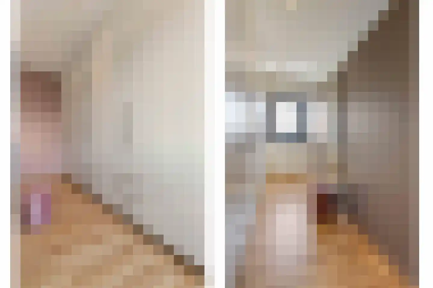 Beukstraat 45 Elsloo thumbnail 62