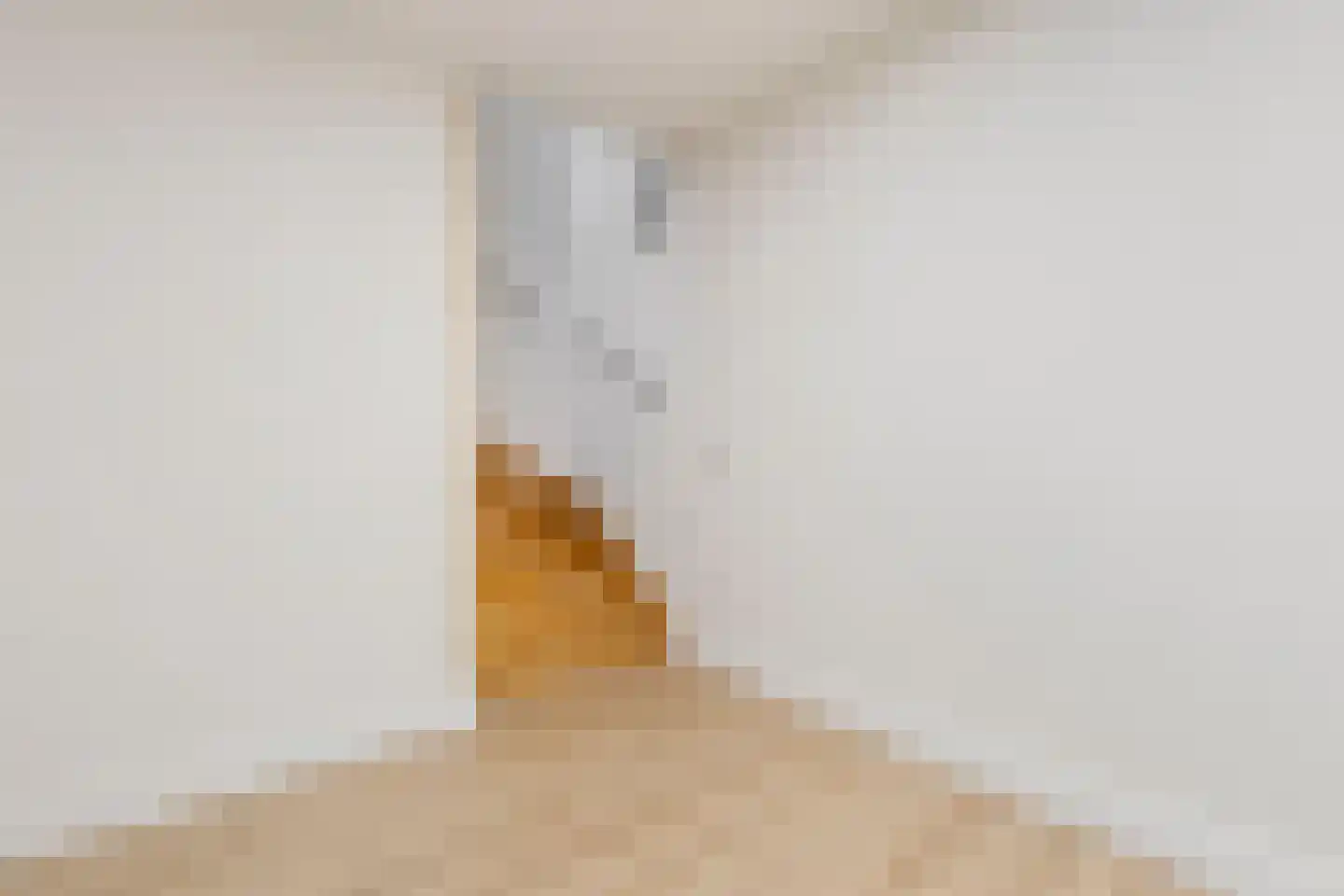 Beukstraat 45 Elsloo thumbnail 65