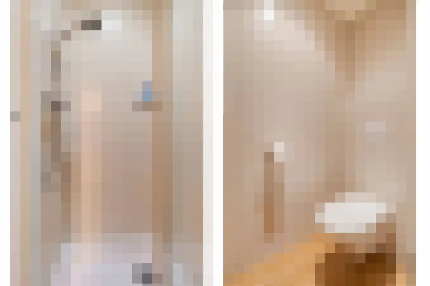 Beukstraat 45 Elsloo thumbnail 79