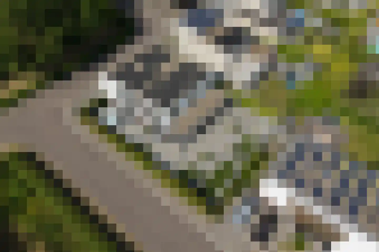 Beukstraat 45 Elsloo thumbnail 8