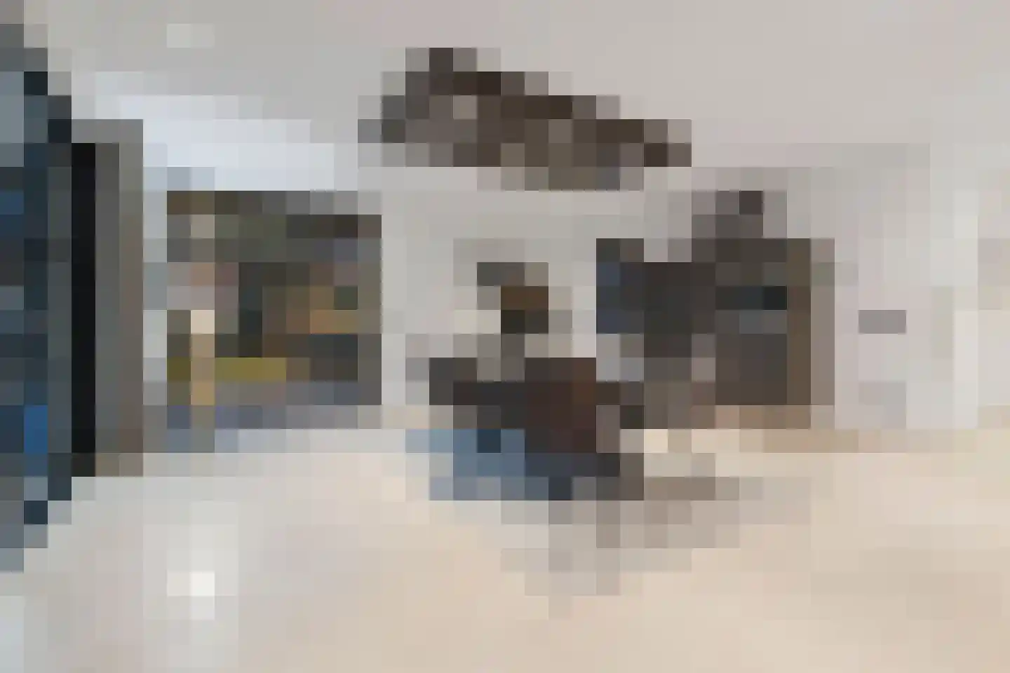Beukstraat 45 Elsloo thumbnail 88