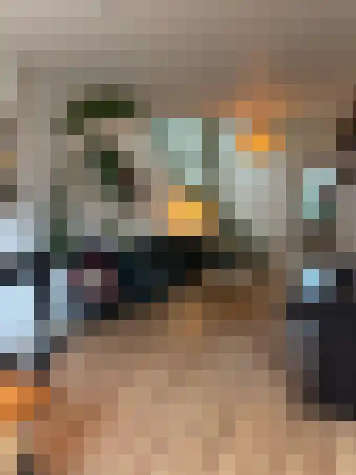 Beukstraat 49 Den Haag thumbnail 6