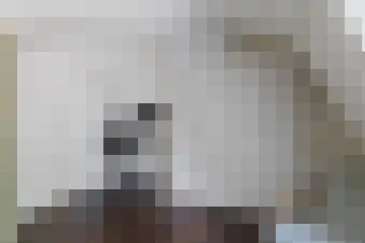 Beukstraat 53 Utrecht thumbnail 31