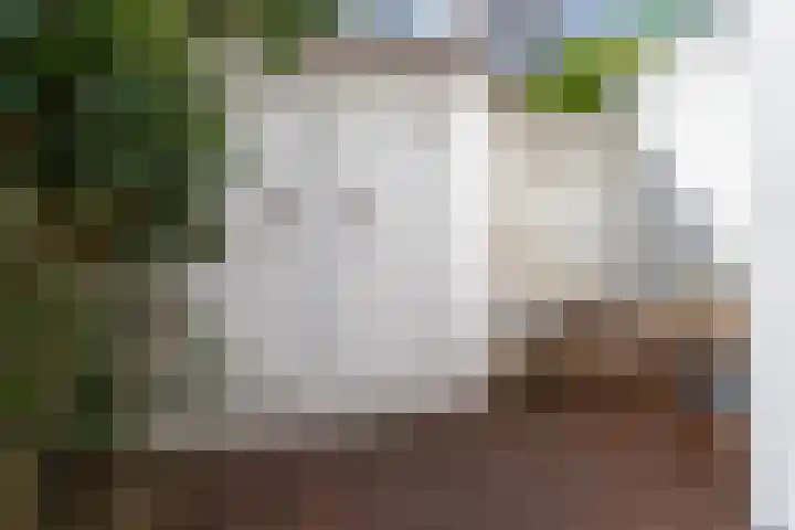 Beukstraat 53 Utrecht thumbnail 33