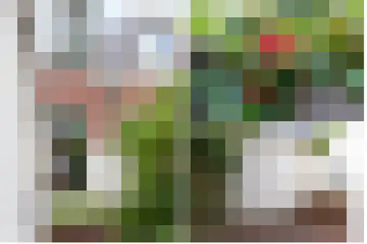 Beukstraat 53 Utrecht thumbnail 35