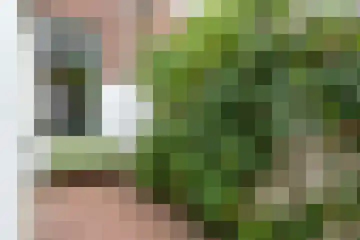 Beukstraat 53 Utrecht thumbnail 4