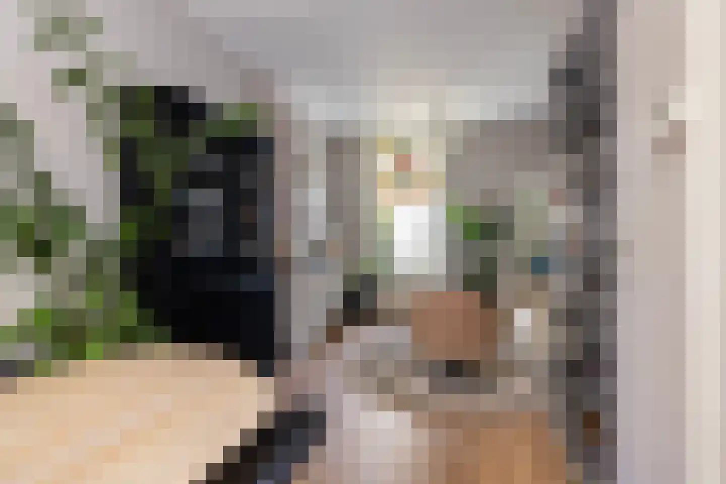 Beukstraat 56 Utrecht thumbnail 10