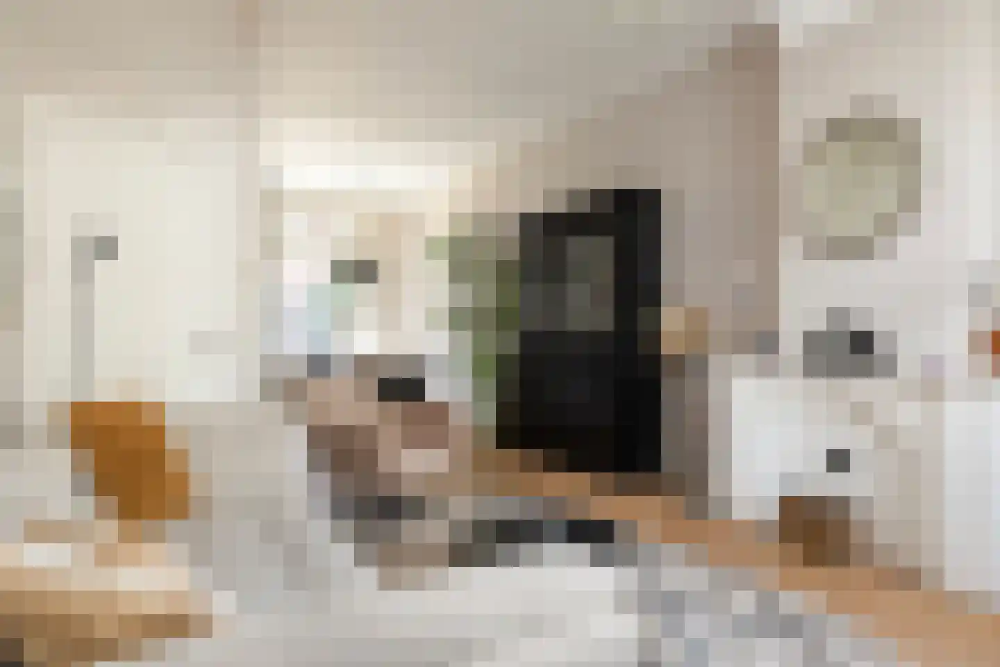 Beukstraat 56 Utrecht thumbnail 11