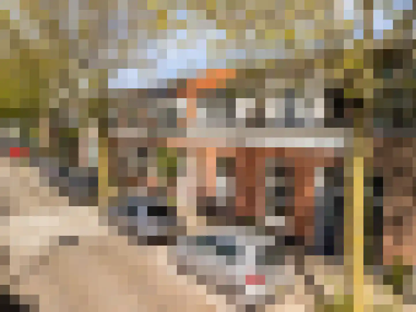 Beukstraat 56 Utrecht thumbnail 31